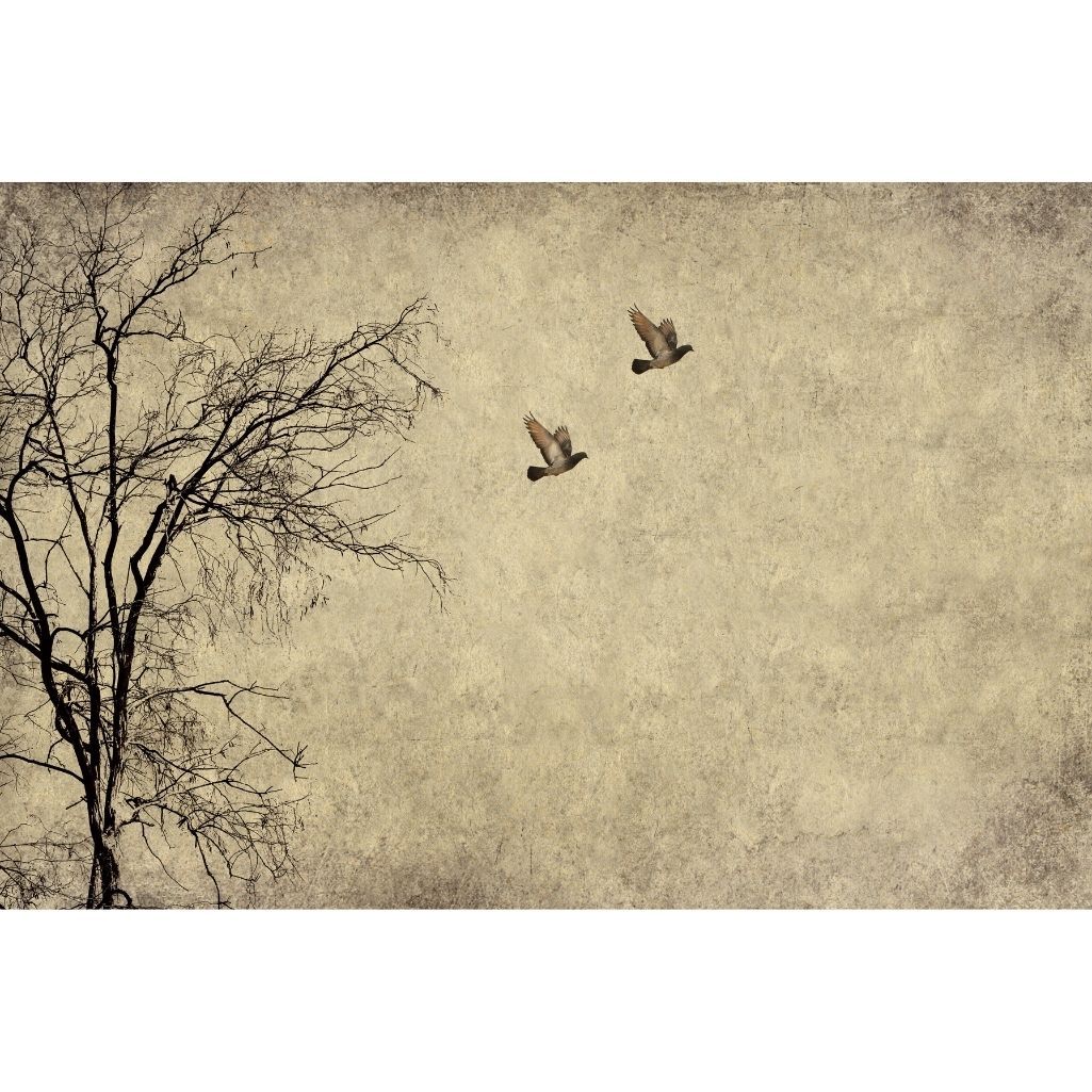 flying-birds-decoupage-paper Papel Decoupage de Pájaros Volando